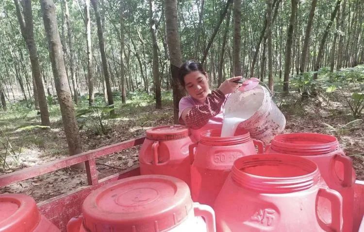 1701918851054019585.jpg 2.jpg